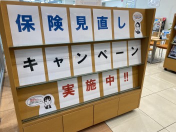 自動車保険相談ブースを開設しました(^▽^)/